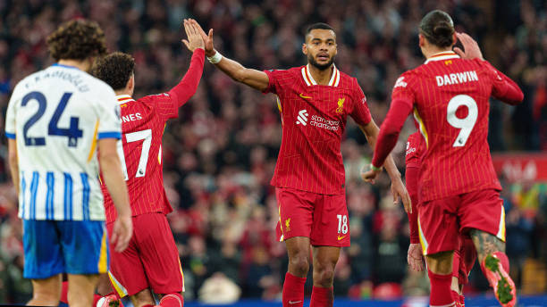 归化国脚塞尔吉尼奥纪念国安生涯首秀：7.