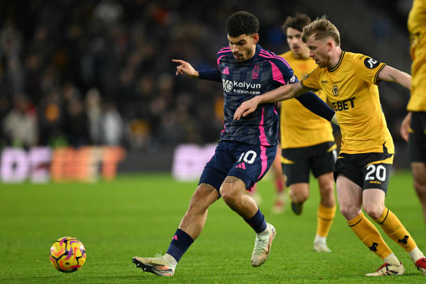 提供引进强 提供引进强